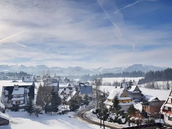 Deluxe Tek Büyük Yataklı Oda, Dağ Manzaralı (2)