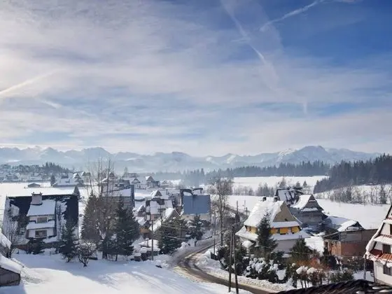 Tek Büyük Yataklı Oda, Dağ Manzaralı (3)