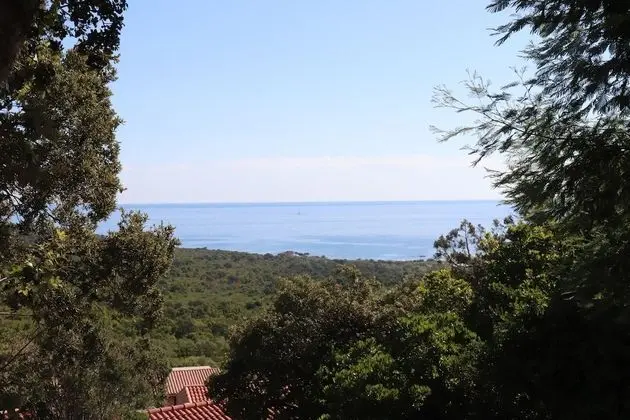 Apart Daire (2-4 persons)