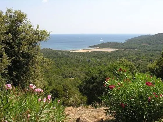 Apart Daire (2-4 persons)