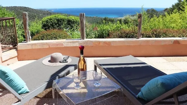 Luxury Villa