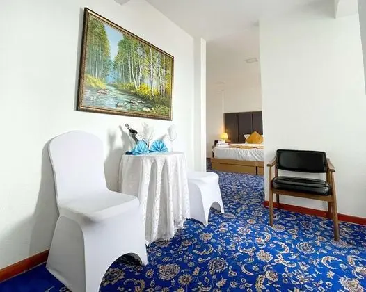 Superior Tek Büyük veya İki Ayrı Yataklı Oda, Şehir Manzaralı