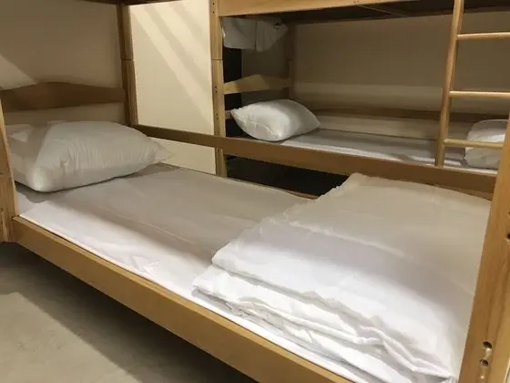 Bed in 5-Bunk bed Basic Shared Dormitory, Women only