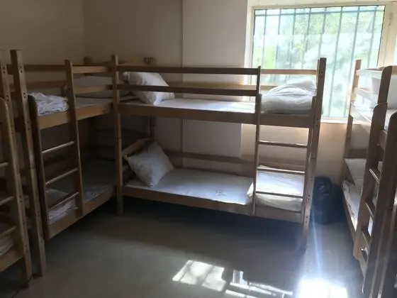 Bed in 5-Bunk bed Basic Shared Dormitory, Women only