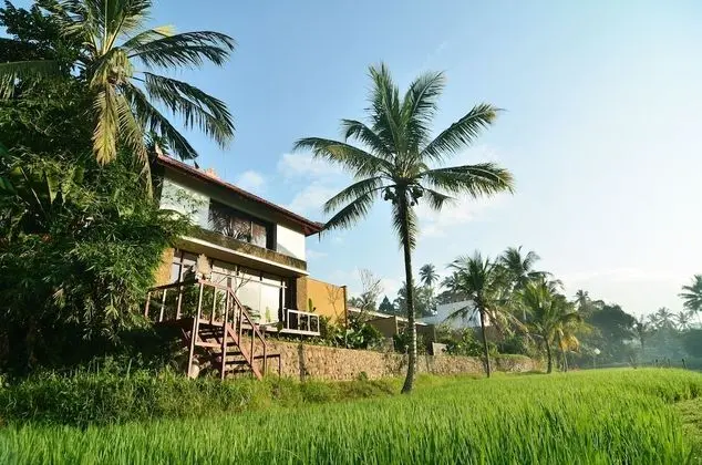 Villa, 2 Yatak Odası, Kişiye Özel Havuzlu (Premiere, Rice Field View, Type B)