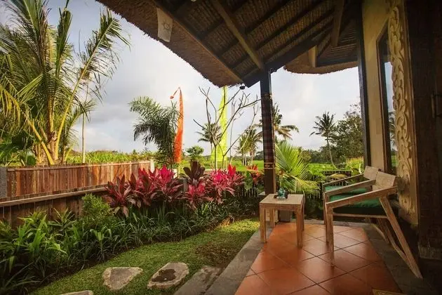 Villa, 1 Yatak Odası