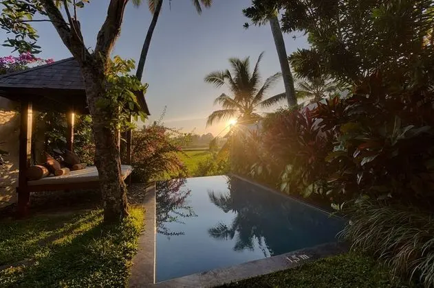 Villa, 1 Yatak Odası, Kişiye Özel Havuzlu (Rice Field View)