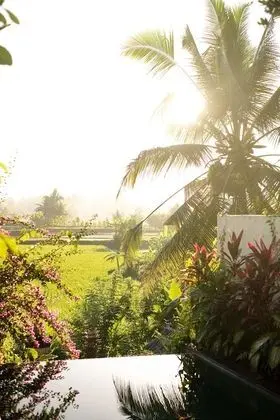 Villa, 1 Yatak Odası, Kişiye Özel Havuzlu (Rice Field View)