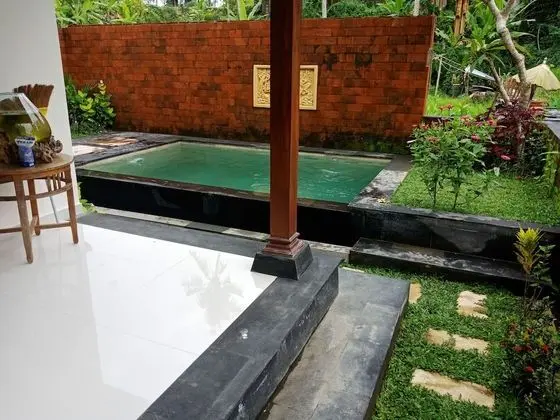 Standard Villa, 1 Yatak Odası, Havuz Manzaralı