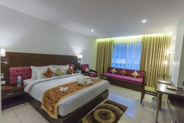 Deluxe Oda, 1 Yatak Odası, Sigara İçilebilir, Şehir Manzaralı