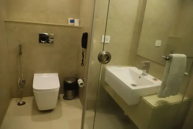 Deluxe Oda, 1 En Büyük (King) Boy Yatak, Sigara İçilmez, Şehir Manzaralı