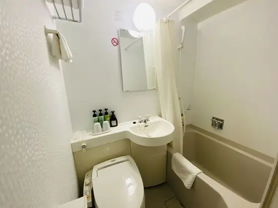 Tek Büyük Yataklı Oda, Sigara İçilmez (Smoking: Request-Base, 12sqm)