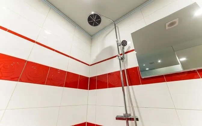 Oda (General (available to watch Netflix))