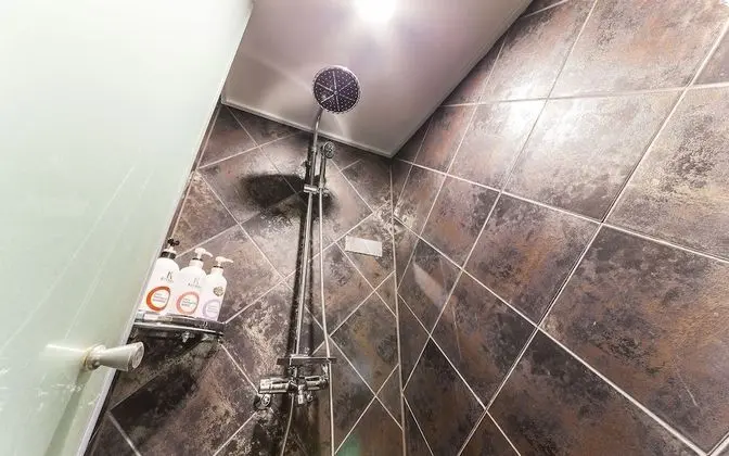 Oda (Premium B (Netflix available + Mini b)