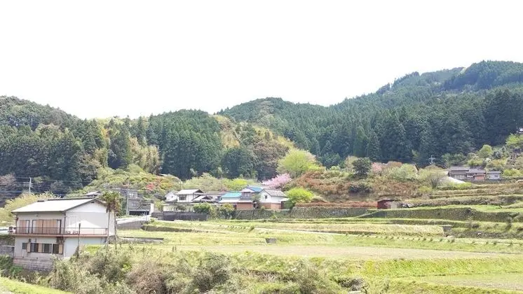 Ev (Private Vacation Home)