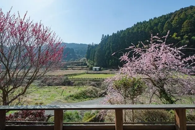 Ev (Private Vacation Home)
