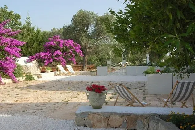 Design Üç Kişilik Oda