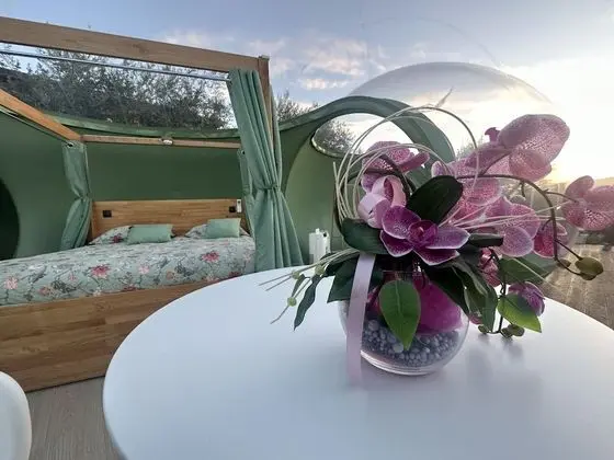 Luxury Stüdyo Süit