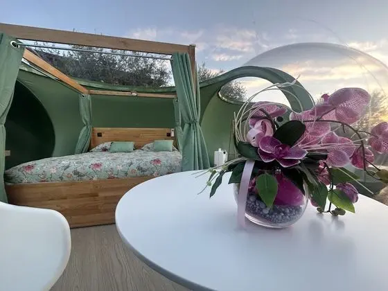 Luxury Stüdyo Süit