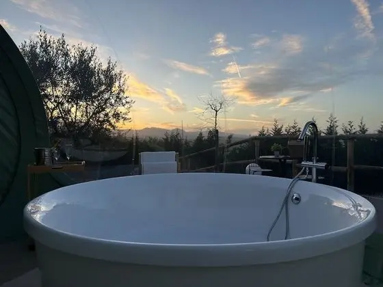 Luxury Stüdyo Süit