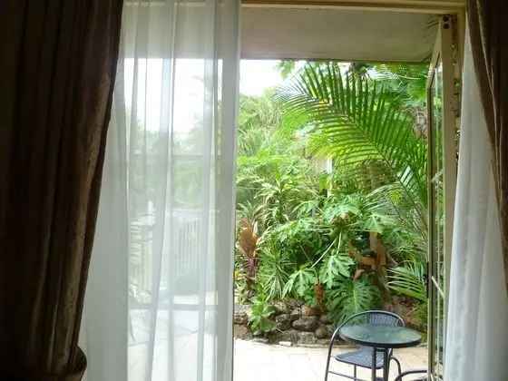 Executive King Spa Courtyard