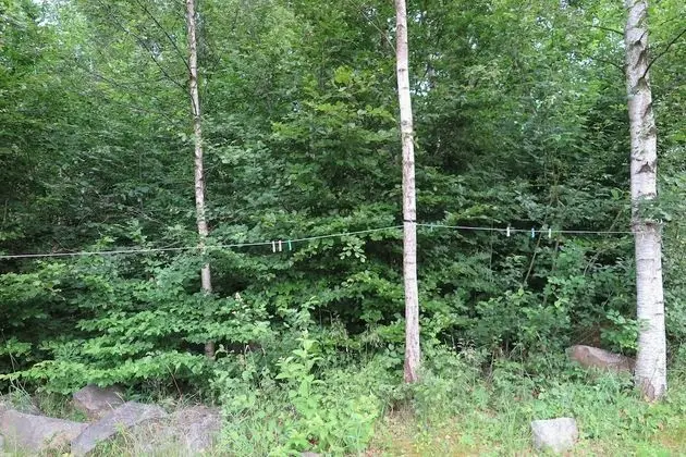 Traditional Kulübe, Şömine, Vadi Manzaralı