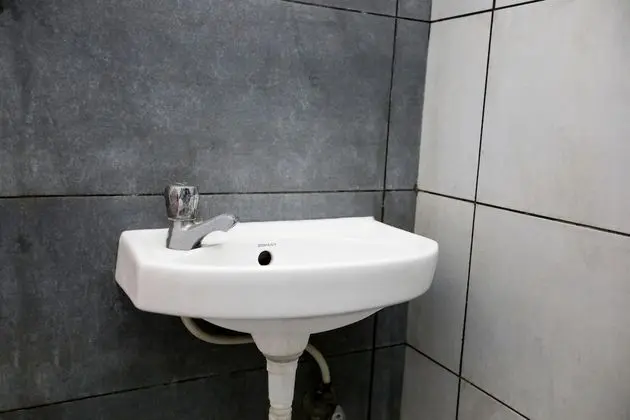 Süit