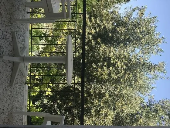 Tek Büyük Yataklı Oda, Bahçe Manzaralı