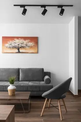 Deluxe Tek Büyük veya İki Ayrı Yataklı Oda