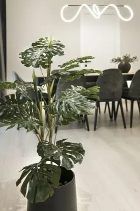 Deluxe Apart Daire, 4 Yatak Odası, Sigara İçilmez, Balkon