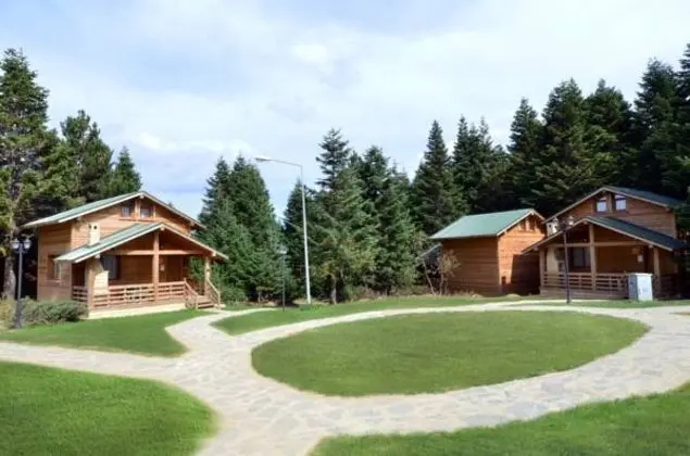 Bungalow, Orman Manzaralı