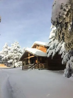 Bungalow, Orman Manzaralı