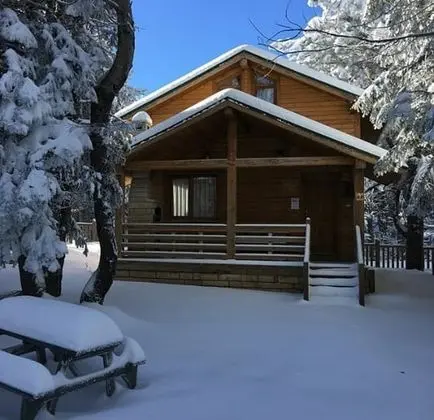 Bungalow, Orman Manzaralı