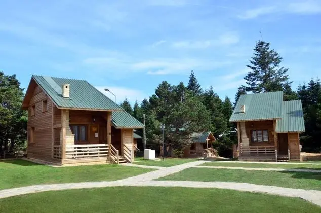 Bungalow, Orman Manzaralı
