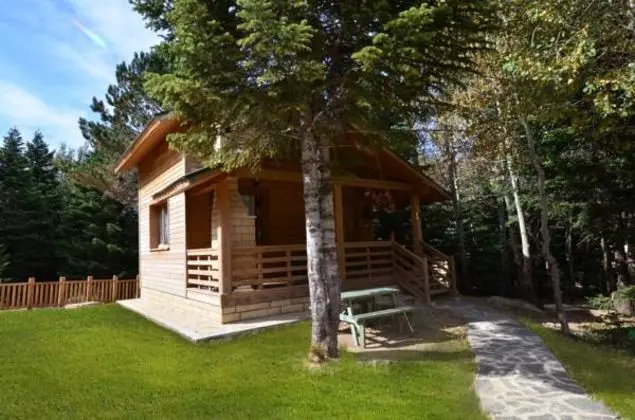 Bungalow, Orman Manzaralı