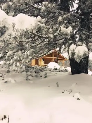 Bungalow, Orman Manzaralı