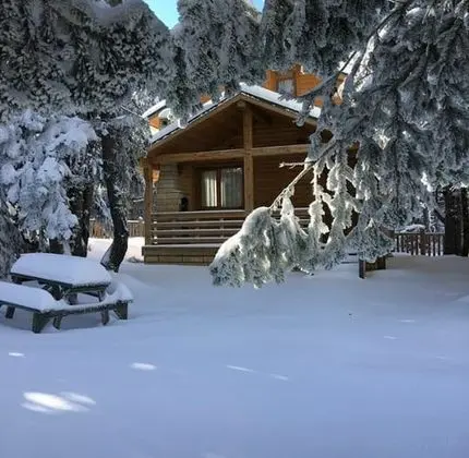 Bungalow, Orman Manzaralı