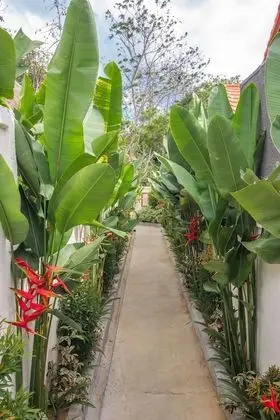 Villa, 1 Yatak Odası