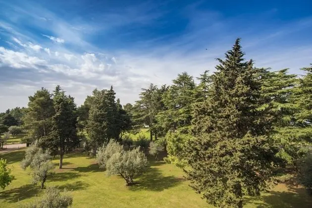 Classic Oda, Balkon, Park Manzaralı