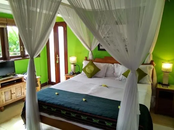 Tek Büyük Yataklı Oda (TT Guestroom)