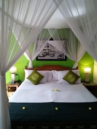 Tek Büyük Yataklı Oda (TT Guestroom)