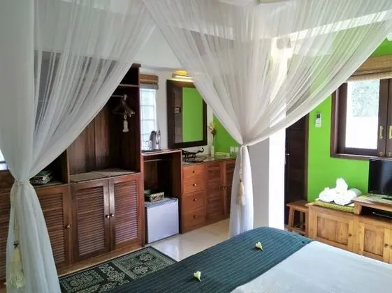 Tek Büyük Yataklı Oda (TT Guestroom)