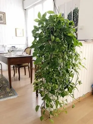 Dubleks, 3 Yatak Odası