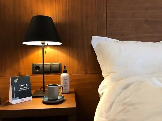Standard Tek Büyük veya İki Ayrı Yataklı Oda, Dağ Manzaralı