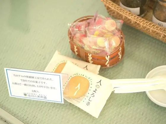 İki Ayrı Yataklı Oda, Sigara İçilebilir (Japanese Style)