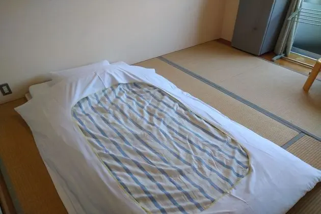 Traditional İki Ayrı Yataklı Oda, Sigara İçilmez