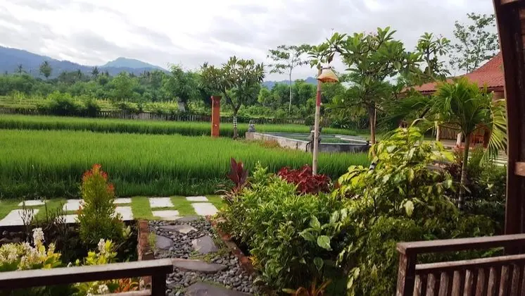 Panoramic Oda