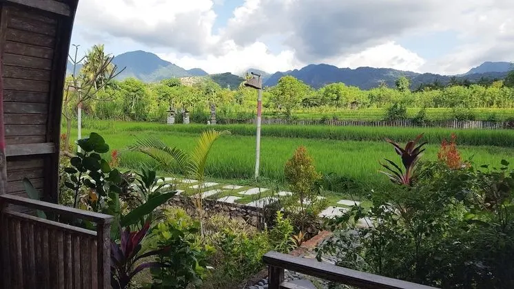 Panoramic Oda