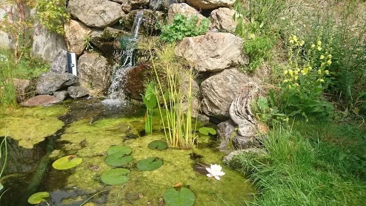 Tek Büyük Yataklı Oda, Bahçe Manzaralı (Les Erables de Kyoto)
