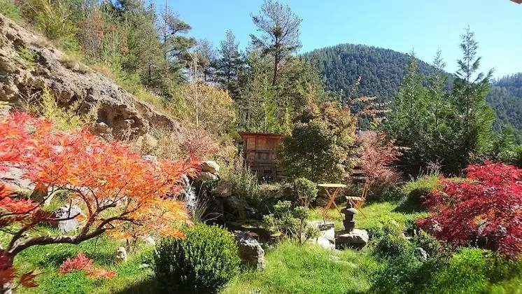 Tek Büyük Yataklı Oda, Bahçe Manzaralı (Les Erables de Kyoto)